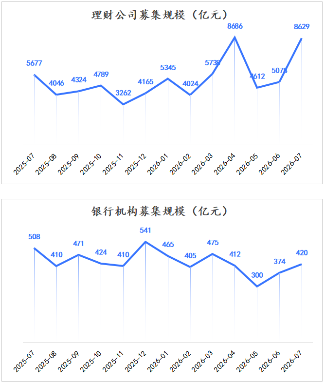 分机构 分机构